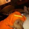 darceljones0642